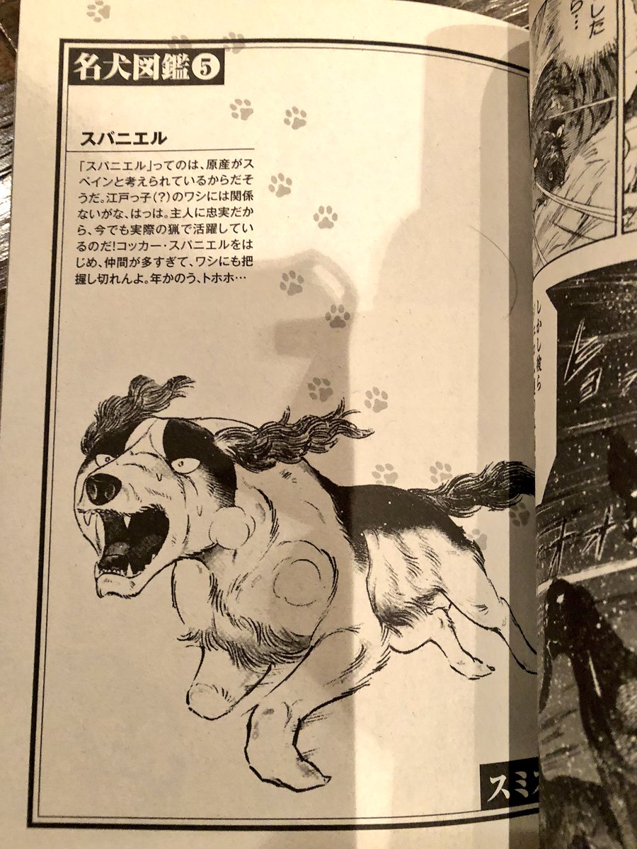 【 銀牙伝説WEED 】 ウィード 食玩 カード スミス 銀牙名犬図鑑⑤ スミスはスパニエルです🌠 #銀牙伝説ウィード #高橋