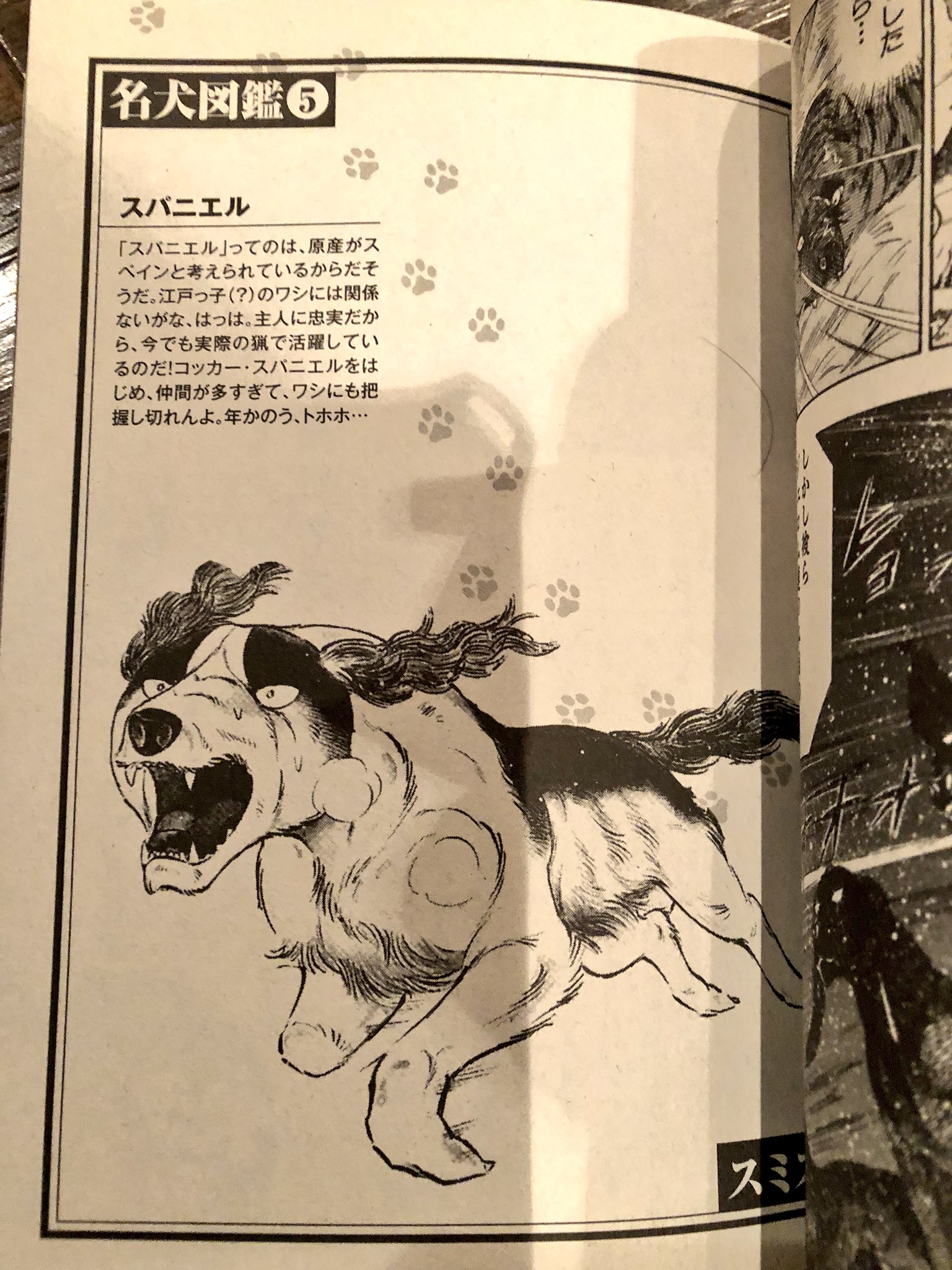 🌌高橋よしひろ先生新連載🌌銀牙伝説レクイエム🌌 on X: 