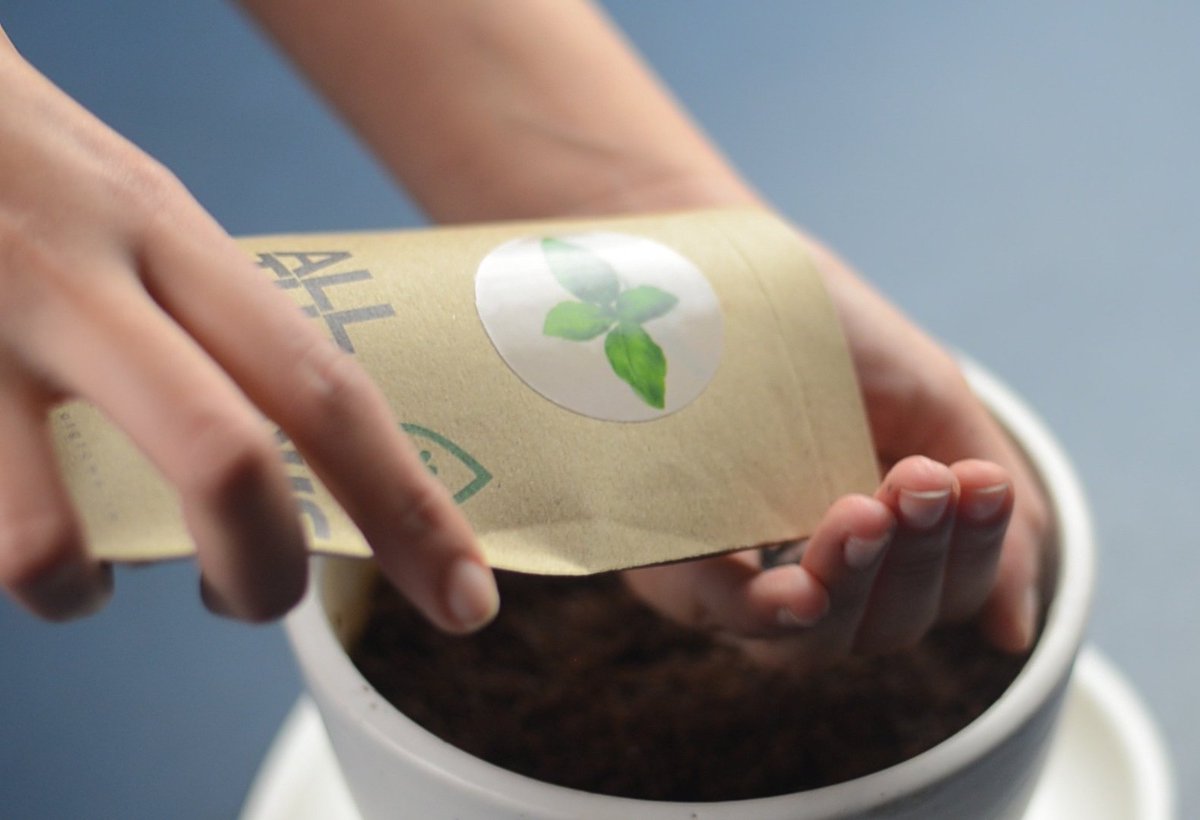 allthatgrows0's tweet photo. Easy to #Grow #Exotic #Herbs available at AlllThatGrows now for a 15% discount. Use code: EXOTICHERBS15, fill your carts now! #Shop here - https://t.co/MBGTRdVYKE #MondayMotivation https://t.co/cH4cYok9VJ