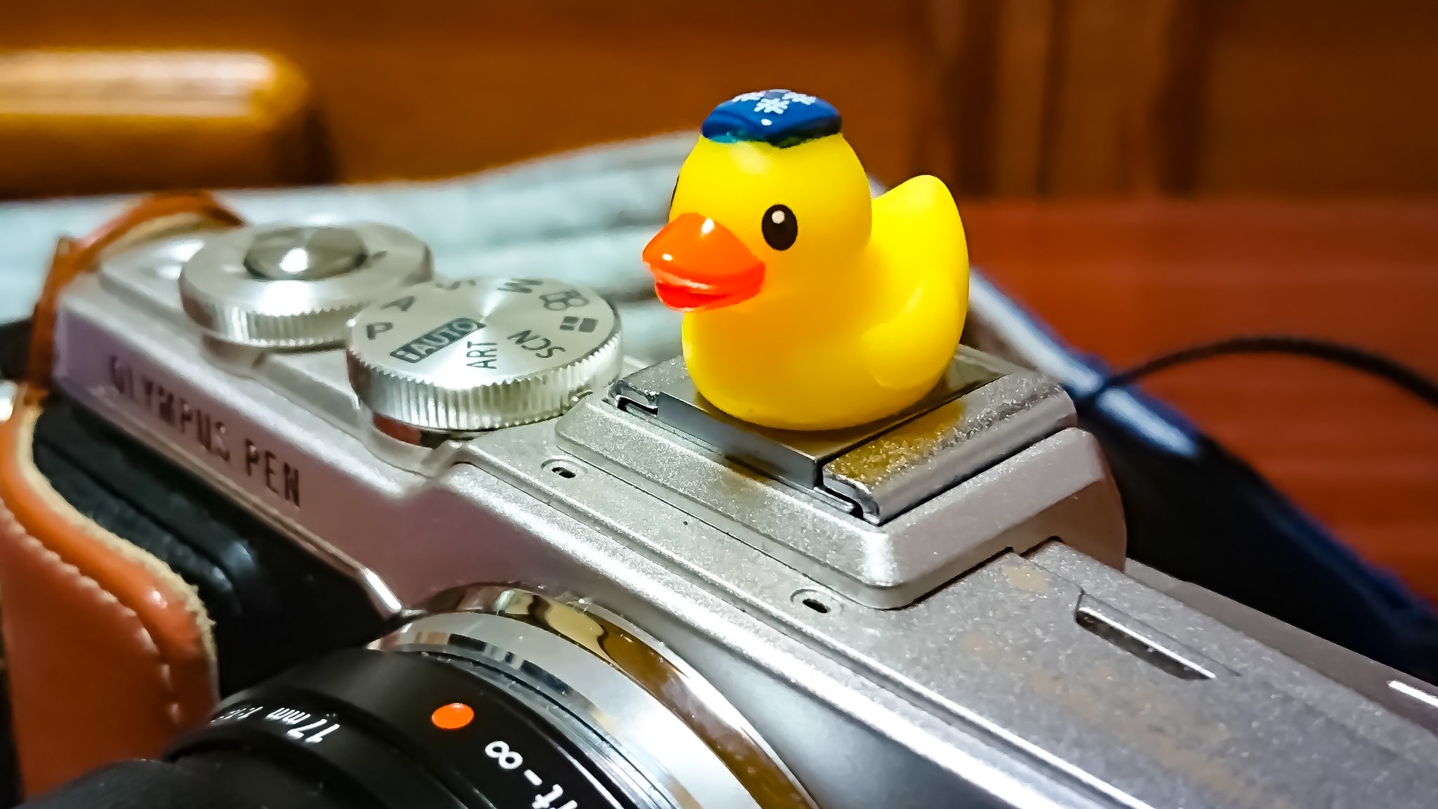 あひる隊長 あひるシュー 8 カメラのホットシューカバーにあひるさんをつけてみました٩ W و 思ったより良い感じ ダンボーさんとも撮ってみたw ホットシュー あひるさん ダンボーさん あんどろーんいどーんでとったどーん 写真好きな人と