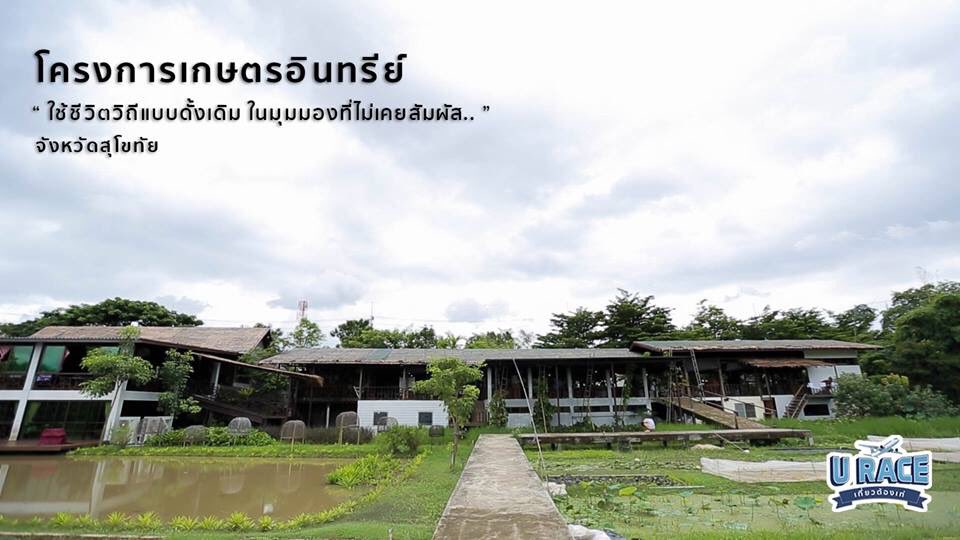 _navaon's tweet photo. U RACE TEAM 3
รีวิวภาพสวยๆ มาแล้วนะคะ
เที่ยวต้องวิถีชุมชนไทย จ.สุโขทัย
#uraceเที่ยวต้องเท่
#urace3
ส่งคะแนนด้วยเม้นไลค์แชร์เช่นเดิม😁
cr.📷 https://t.co/RAVcISt448
#nestnisachol https://t.co/j5btpFAxcJ