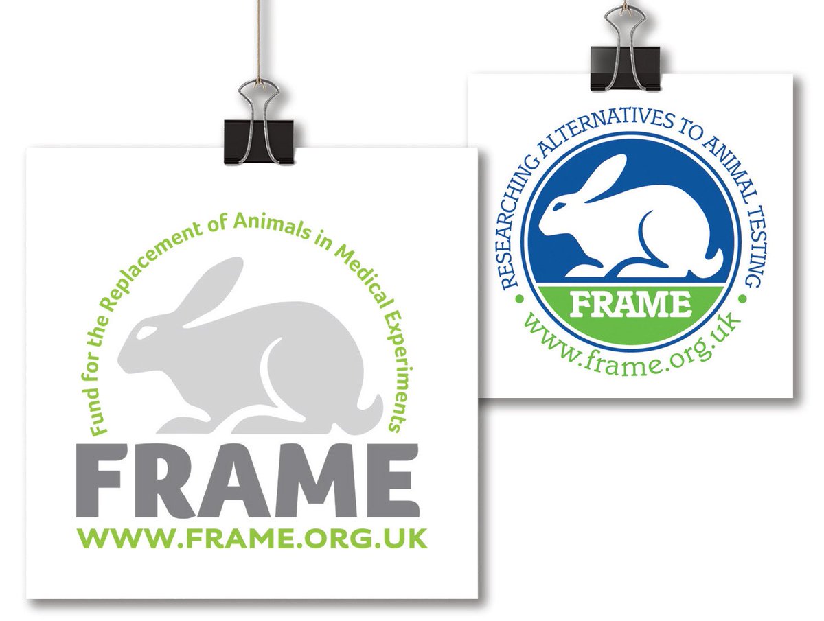 FRAME_Science's tweet photo. We've got a fresh new look. Take a look at our new website for more information https://t.co/4ddbFiqP1V https://t.co/PgIG70FxgX