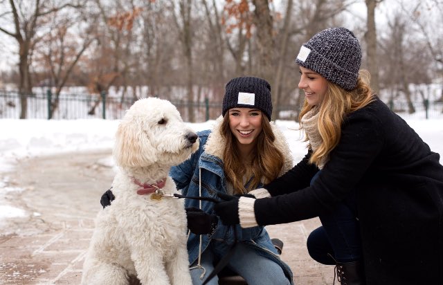 Gold foil + New colors + White Leather (vegan) Patch?!? = NEW RELEASE MONDAY!!!
LYM is launching the cutest beanies today, buy @ loveyourmelon.com

*puppy not included* 😉