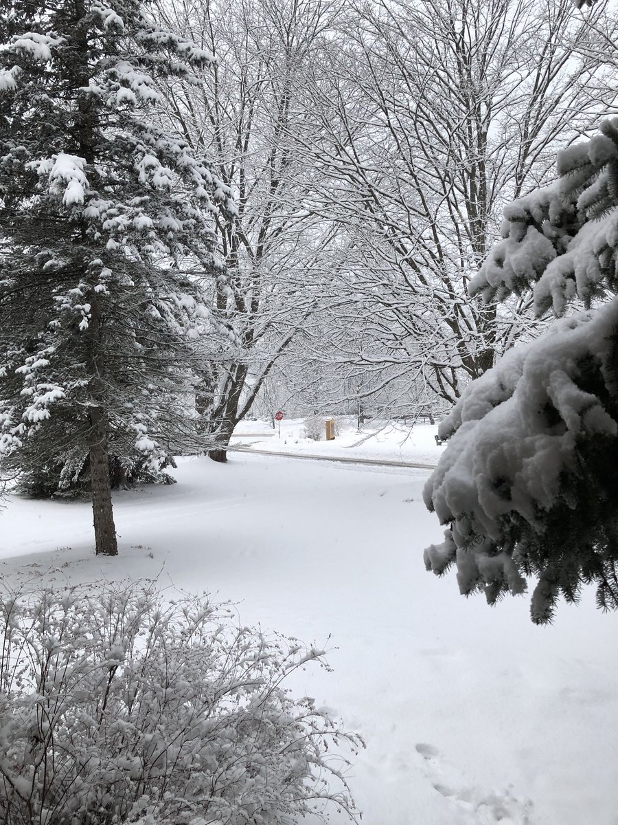 When performing in #Vermont during the winter.... #travelingtheworld #tempesttrio #ilyakaler #alongoldstein #amitpeled #violin #piano #cello #snow @ArtsMgmtGroup @george_peabody @CTMClassics