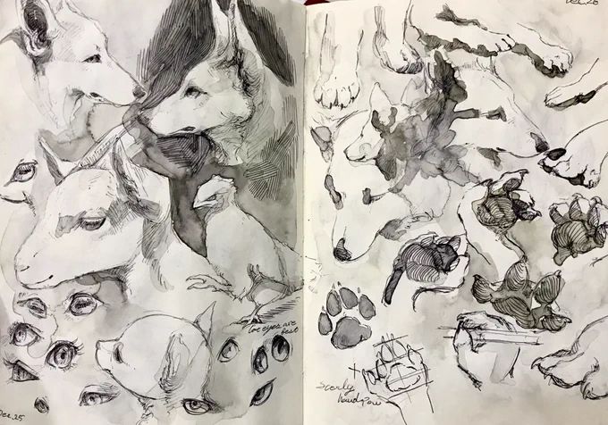 I started sketch every day since 2015 that learn to draw and visualize my ideas quickly . now, I nortice that drawing is fun✏️ 