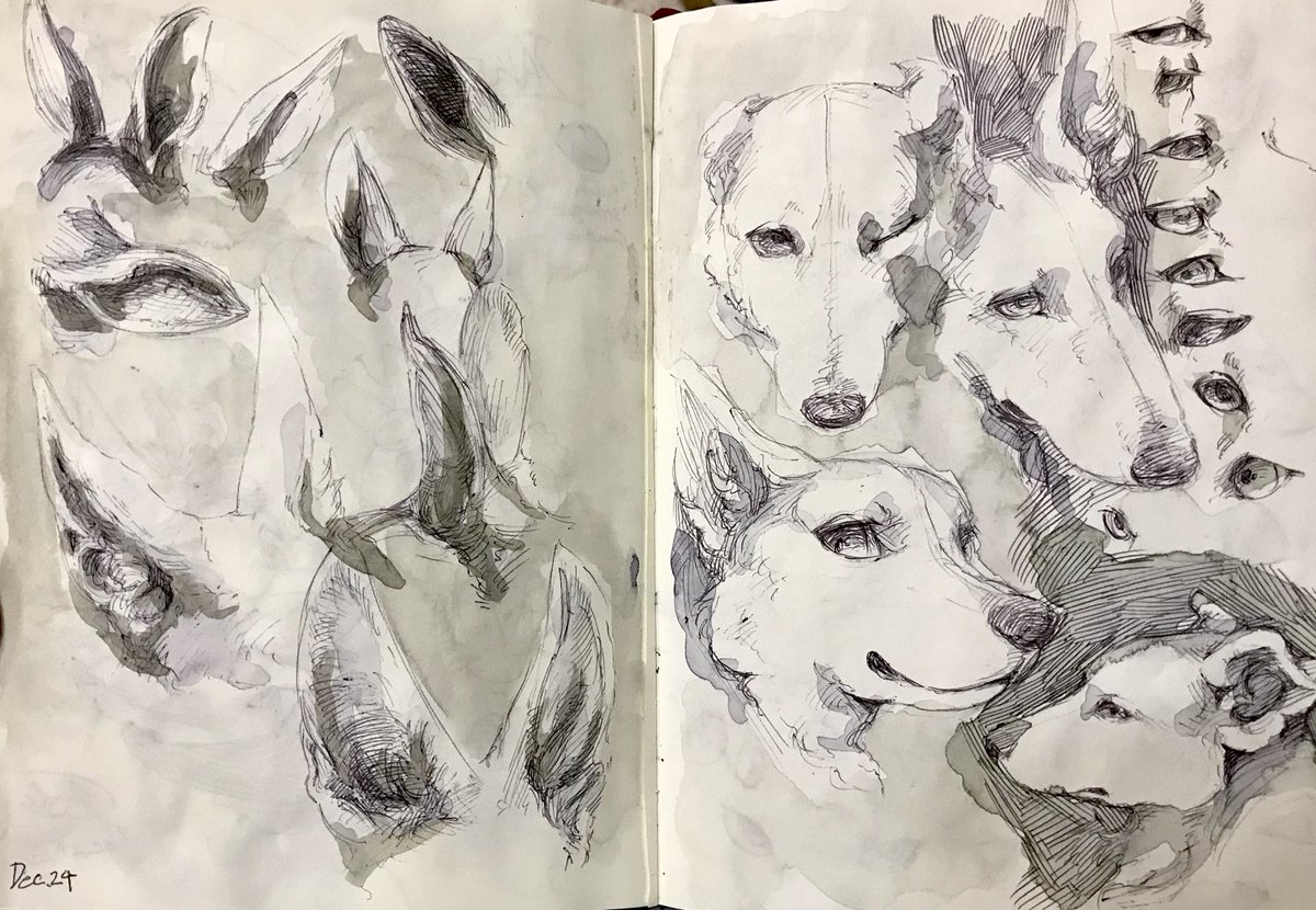 「I started sketch every day since 2015 th」|Rady❄️デザフェスK35,36のイラスト