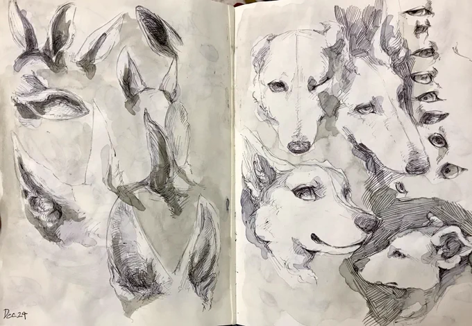 I started sketch every day since 2015 that learn to draw and visualize my ideas quickly . now, I nortice that drawing is fun✏️ 