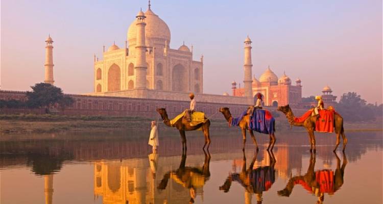indiaincredibl2's tweet photo. #rajasthantour #royalrajasthantour #reallifeofrajasthantour #cultutaltour #indiaincredibletour
#touroperatorinjaipur #reliabletouroperator #letsmeettoyourimagination https://t.co/Wy2ldwdyP0