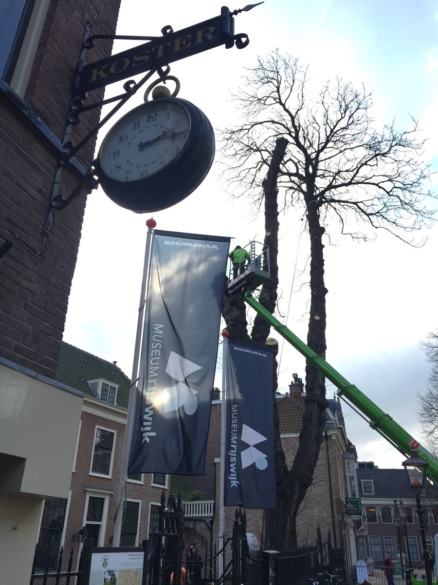 Dag mooie buurboom. Zieke #kastanje boom van 200 jr van @MuseumRijswijk gaat vandaag ten onder.
