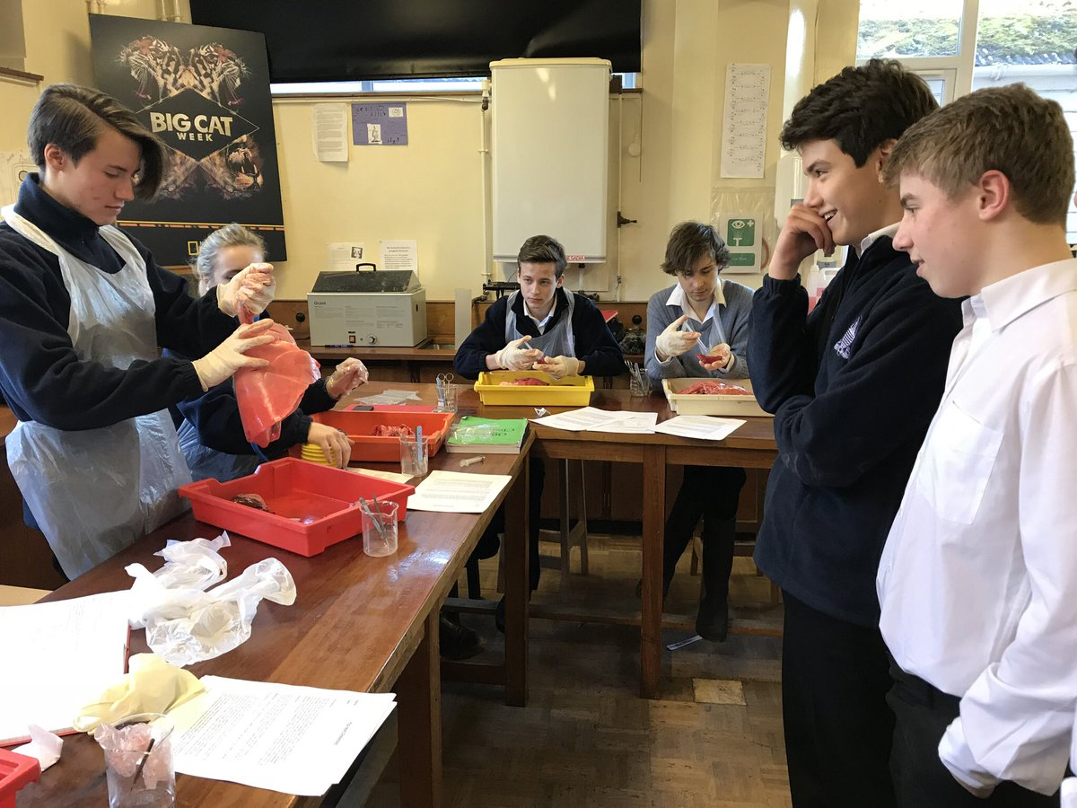 gordonstoun's tweet photo. Year 12 Biology students share their understanding of the workings of - specifically the inflation of -  the lung to the year 9 students.
#thankyou #andbreathe #sharingknowledge #scienceislife #breathingislife https://t.co/6SFBE7swt6