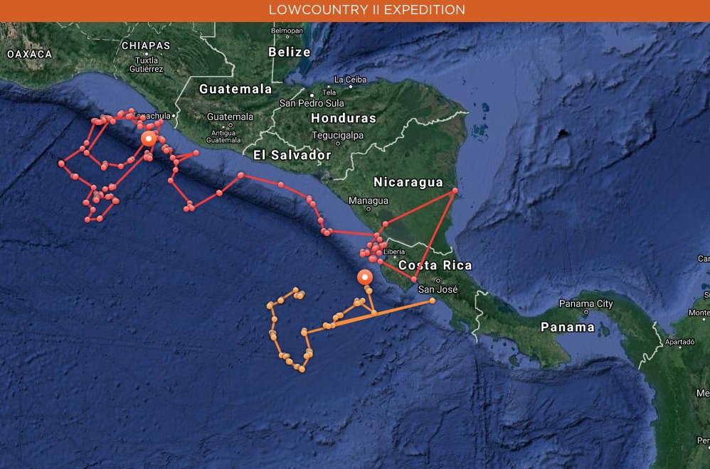 OCEARCH's tweet photo. Olive Ridley sea turtles π’ Coral (Red) and Jessica (Orange) are up and pinging! https://t.co/ENDqYqdsfj #TAMUTurtles https://t.co/XqfdfgsmrM