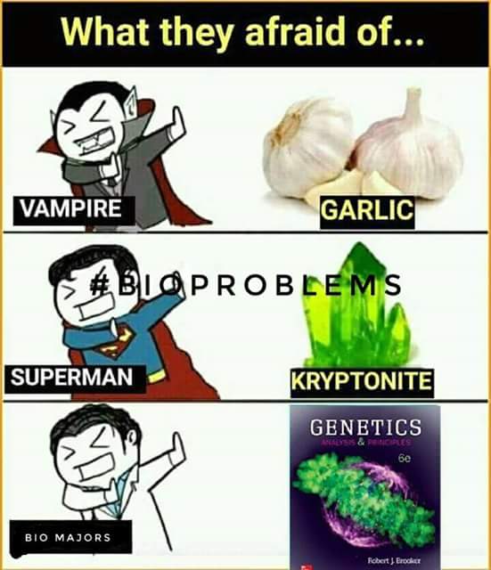 BioProblemsPH's tweet photo. Ayoko na! Hahaha
Admin Gene Kazama
#BioProblems https://t.co/akFfTUERyo