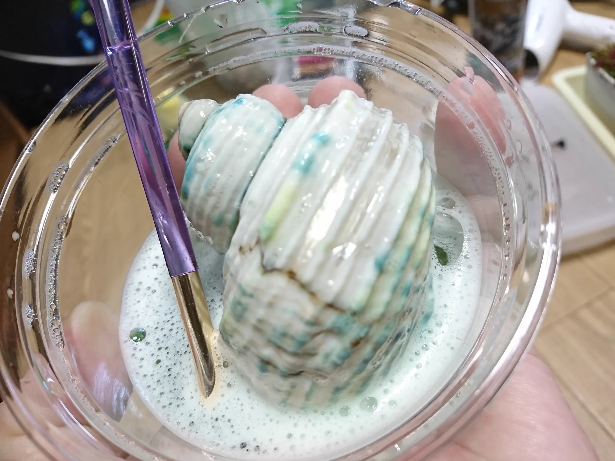 まるで真珠のよう！！　ただの貝殻を簡単に真珠色にする方法がスゴイ！！