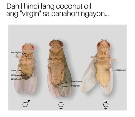 BioProblemsPH's tweet photo. #BioProblems https://t.co/w0IsBz9gZ2