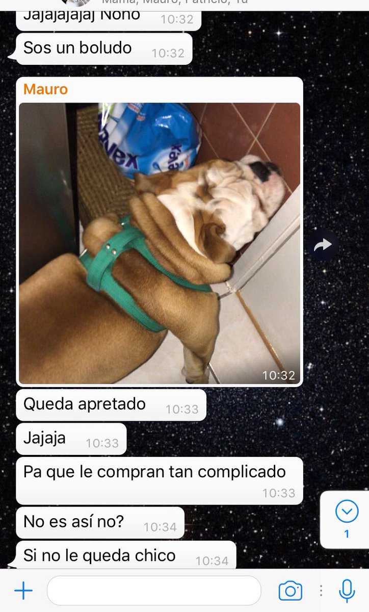 HagoLasArtes's tweet photo. Le pedí a un amigo que sacara a pasear al perri y sucedió esto, estoy doblada de risa https://t.co/hfqk2WQqWf