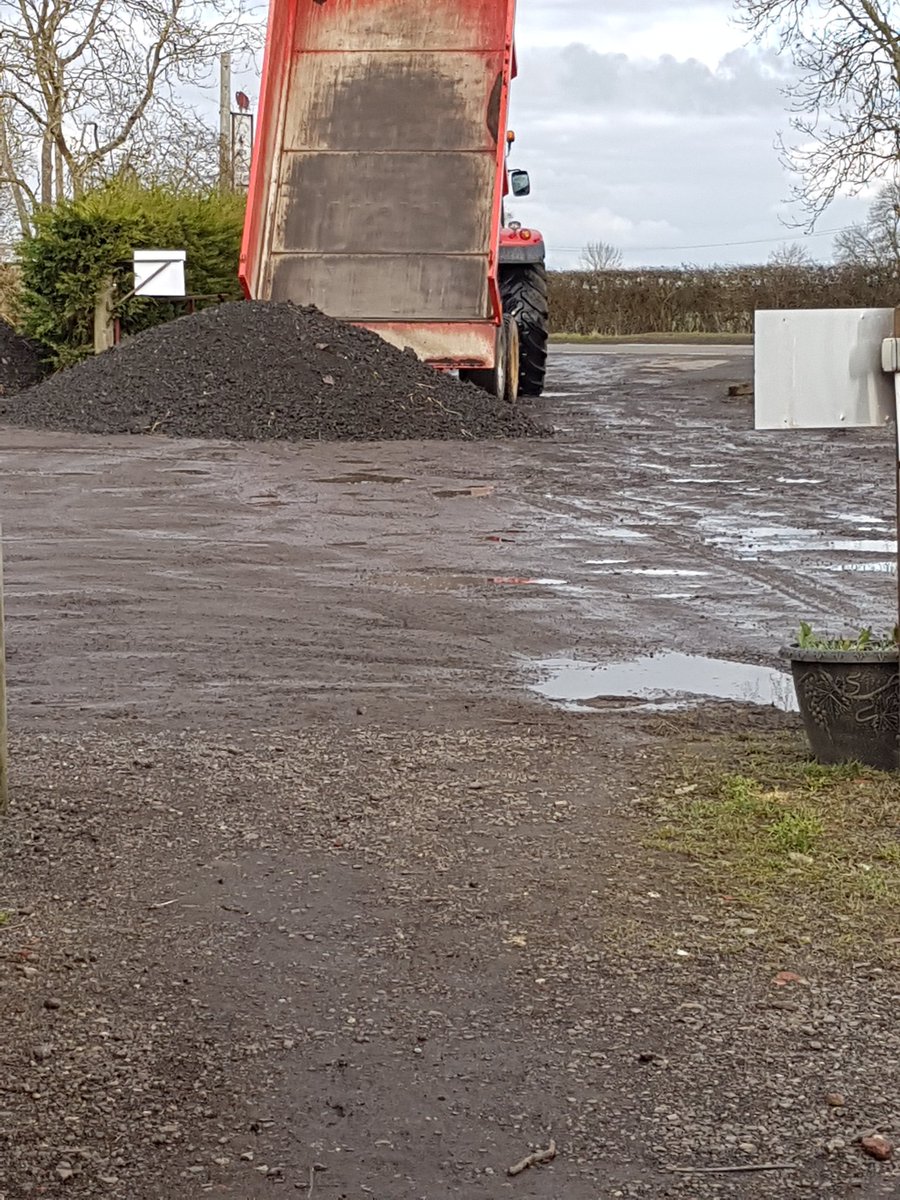 Through the gate tweet media