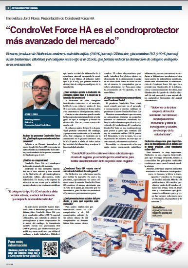 Bioiberica's tweet photo. Jordi Flores @Bioiberica: "Condrovet Force HA es el #condroprotector más avanzado del mercado". Entrevista en @RevistaArgos https://t.co/cUQn1YOo2E #veterinarios #perros #gatos https://t.co/GT7ztGgbJk
