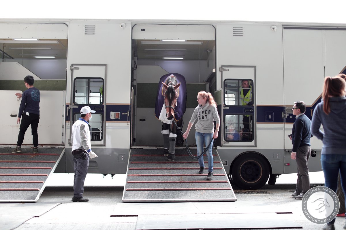 WeRideTheWorld_'s tweet photo. 51 of the best show jumper horses arrived in Hong Kong after this long trip with a special @EtihadAirways Cargo chartered for this unmissable sporting annual rendezvous ✨

We are so proud to have them here and simply can't wait for the LONGINES Masters of Hong Kong to begin ! 🔜 https://t.co/0ouebVPeh5