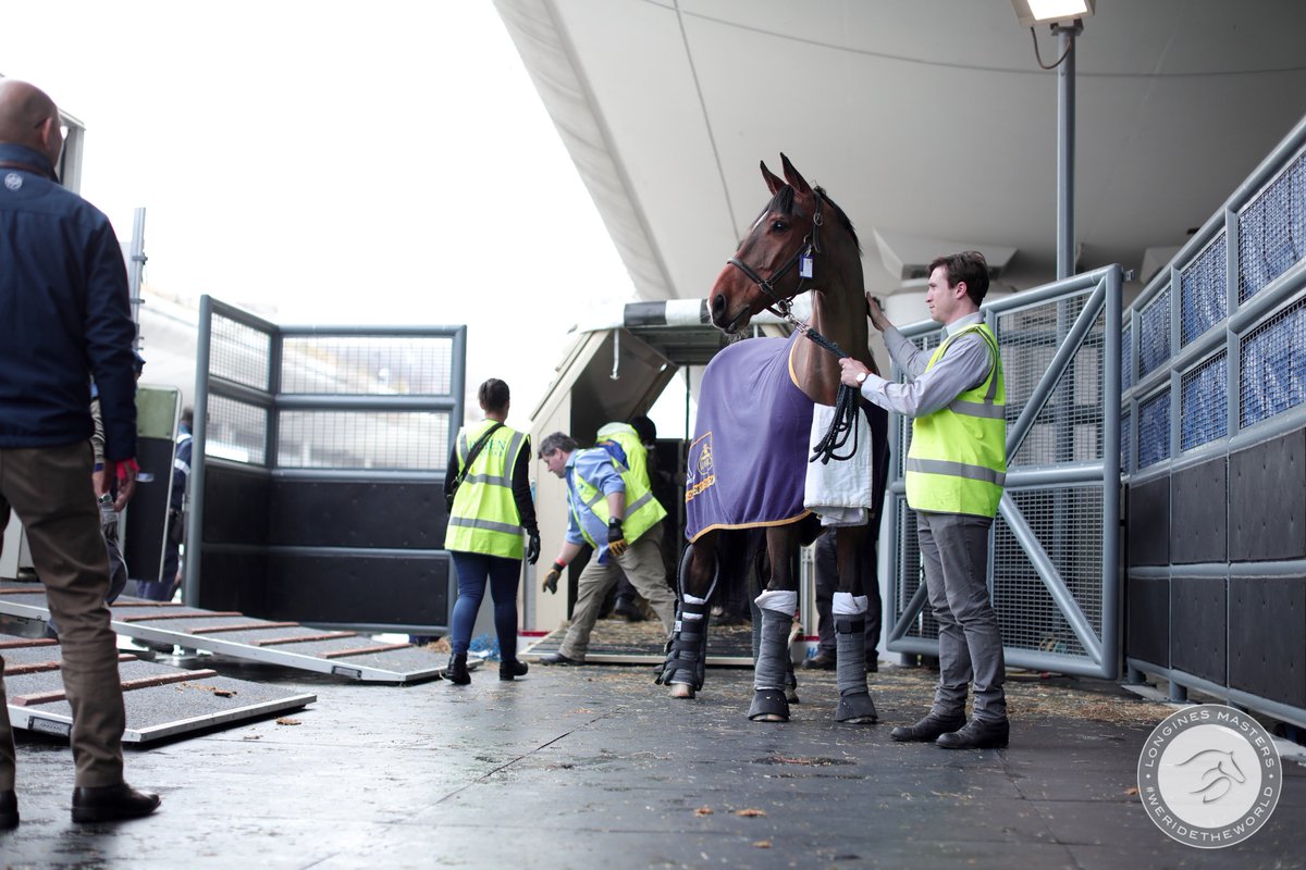 WeRideTheWorld_'s tweet photo. 51 of the best show jumper horses arrived in Hong Kong after this long trip with a special @EtihadAirways Cargo chartered for this unmissable sporting annual rendezvous ✨

We are so proud to have them here and simply can't wait for the LONGINES Masters of Hong Kong to begin ! 🔜 https://t.co/0ouebVPeh5