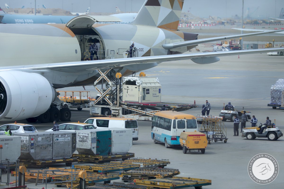 WeRideTheWorld_'s tweet photo. 51 of the best show jumper horses arrived in Hong Kong after this long trip with a special @EtihadAirways Cargo chartered for this unmissable sporting annual rendezvous ✨

We are so proud to have them here and simply can't wait for the LONGINES Masters of Hong Kong to begin ! 🔜 https://t.co/0ouebVPeh5