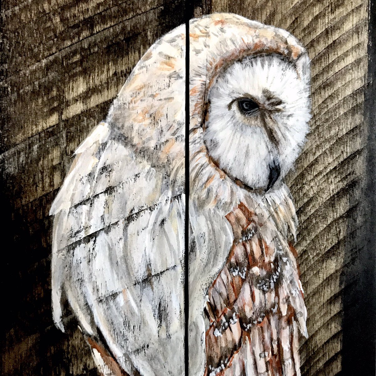 BrokenBoardsD's tweet photo. Hand painted owls are back in stock 🌙 https://t.co/3sjRM9UzUw #painting #etsy #handmadehour #homedecor #giftideas #Gifts #Owl #artwork #Valentines #Birds #etsyhandmade #etsygifts #greatgift #SmallBiz #Woodworking #rusticinspired #RusticHomeDecor https://t.co/8bbNiOCARg