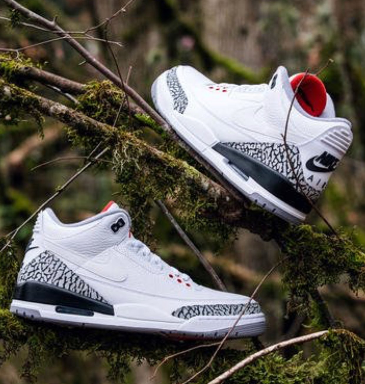 Darren Rovell on X: Nike “shock dropped” the Tinker Hatfield/Justin  Timberlake Air Jordan III collab shoe around his halftime performance. Sold  out immediately on SNKRS app. Guessing 500-1,000 pairs released.  https://t.co/rpMDjByzih /