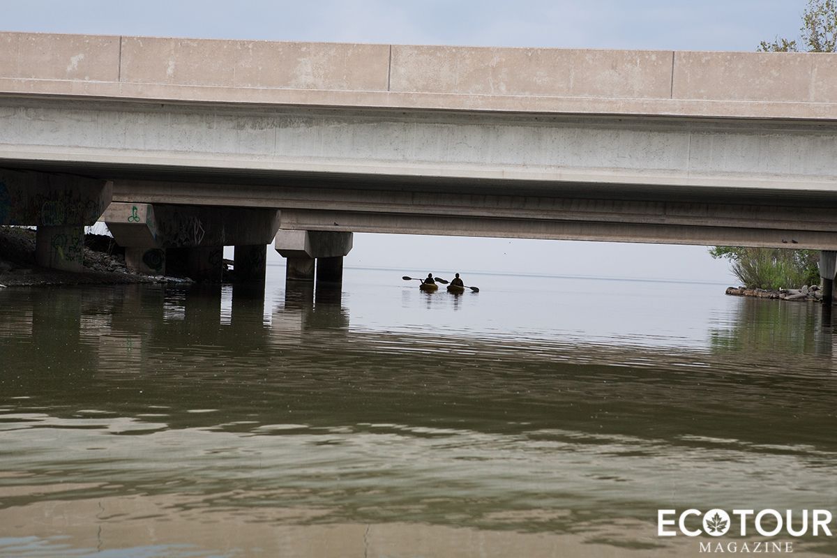 EcotourMag's tweet photo. We were given two possible routes: towards an abandoned ship under the QEW highway, or towards the Owl Foundation, with 50 cages on the side of the harbour's hill. Which would you choose? #travel #Canada #EcotourMag https://t.co/WZsVgnsAnb https://t.co/rNgRyaGaVL