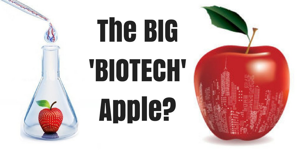 Can the Big Apple become a real player in the increasingly competitive #BioTech Hub game? New York City just bet $100 Million that they can &amp; will.  ow.ly/ttPo30iaZLv