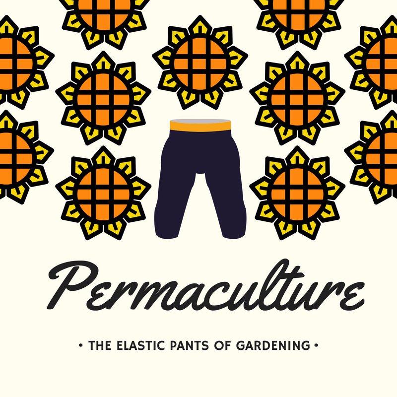 GrowPHX's tweet photo. Permaculture:  The Elastic Pants of Gardening https://t.co/pX5wXSI5cL https://t.co/zflf5dwbe4