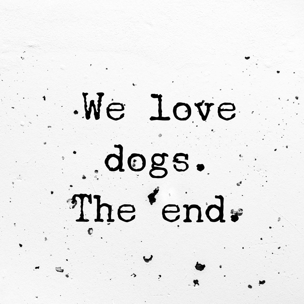 What more is there to say!?

#welovedogs #dogsarethebest #doglove