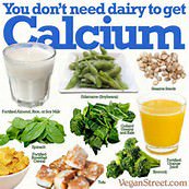 GlobalVegans's tweet photo. #GoVegan #Vegan #VeganForLife https://t.co/escuR5IkNA