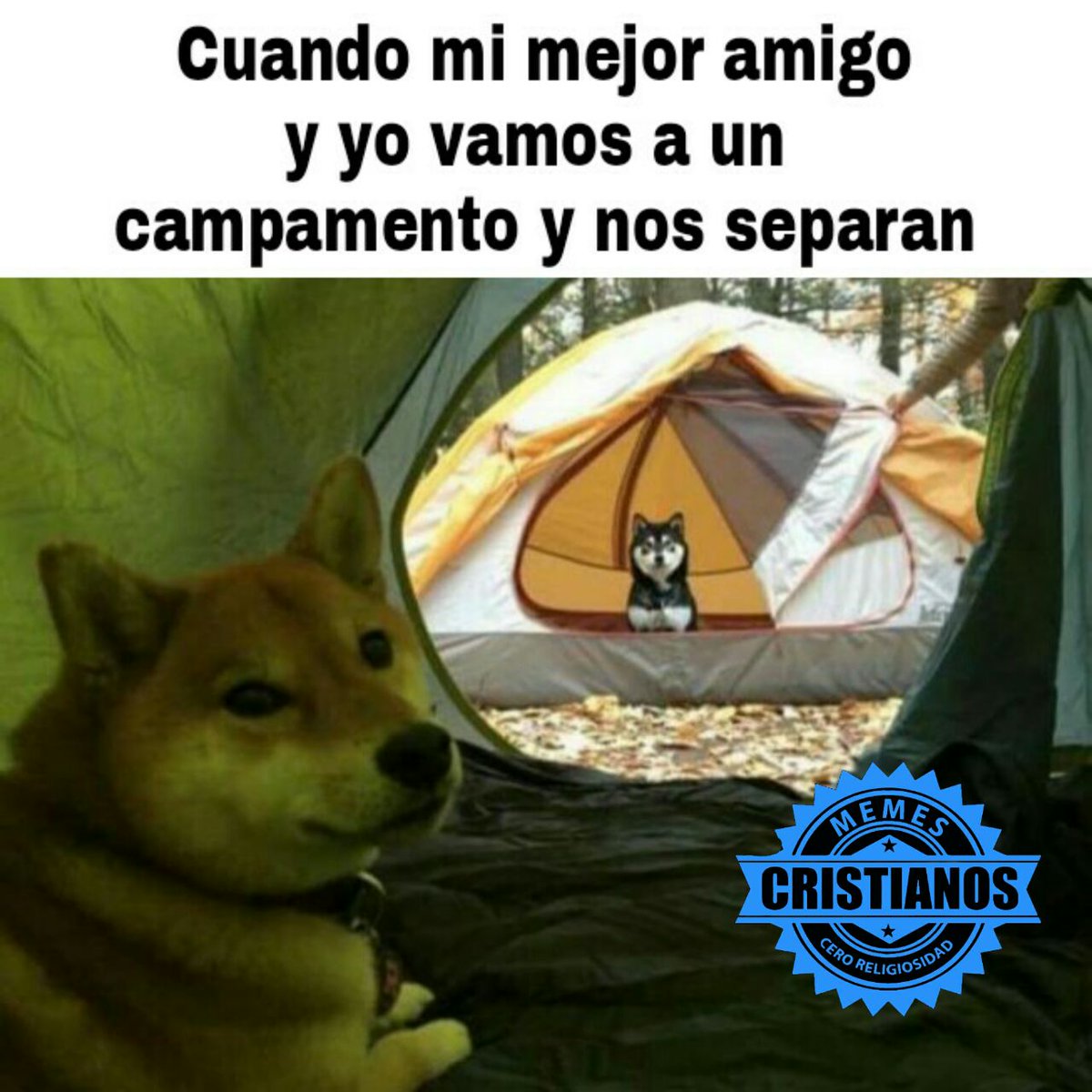 DOGE To The Moon Premium Mug | DOGE Camping Cup, image size:1200x1200