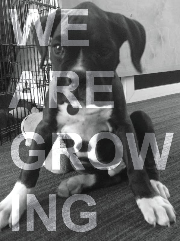 eccodesigninc's tweet image. Currently hiring all positions! Cool projects and a laid-back attitude. Inquiries can be sent to info@eccodesigninc.com