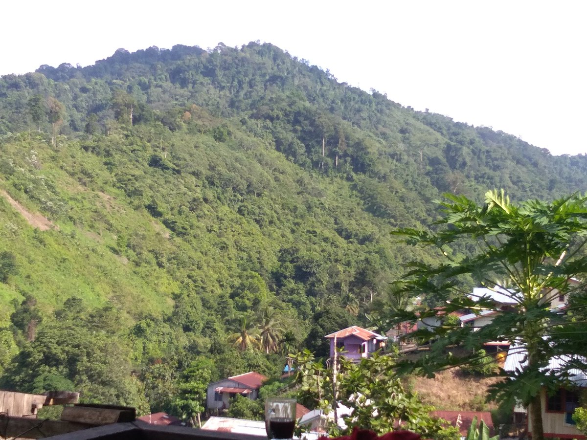 #PendampingDesa 
"Desa dilereng gunung"
@kaltaraprov
<a href="/desamembangun/">Desa Membangun</a>