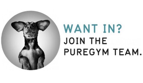 PureGymHOPEST's tweet photo. Pure Gym Glasgow Hope Street are hiring!!!
Are you a level 3 Personal Trainer with exceptional customer service skills and love helping others through 1-2-1 sessions and in our Group Exercise classes?  If this sounds like you then send us a DM #glasgow #personaltrainer #puregym https://t.co/TIwJB050tA