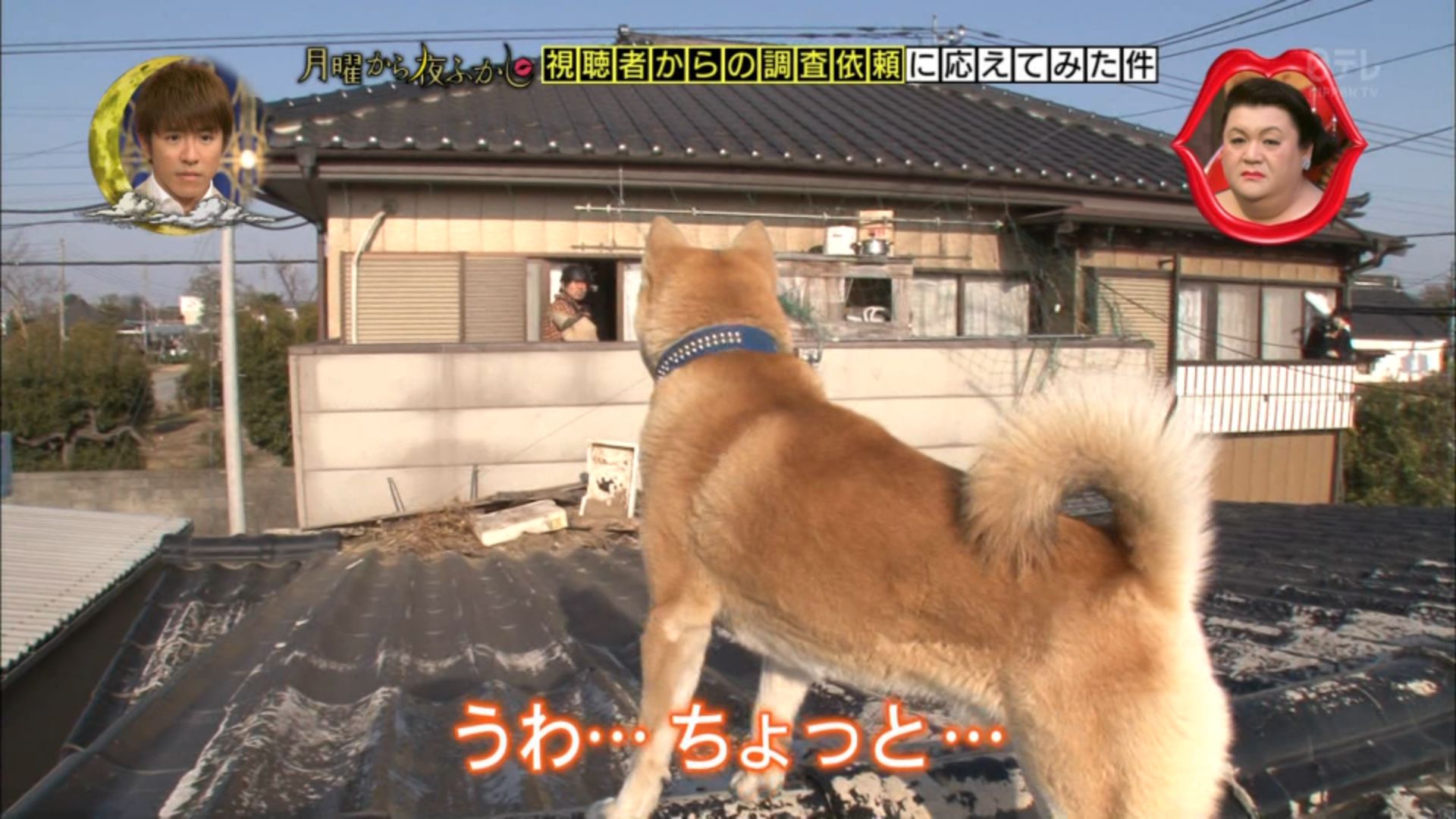 ゆくブラっ 犬を怖がりまくる優しいジャイアン 月曜から夜ふかし T Co 4ji7fwjrur Twitter