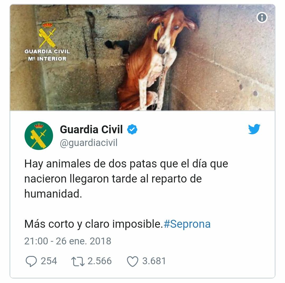animalrescuees's tweet photo. Más claro imposible. https://t.co/nO1Vht6RKU