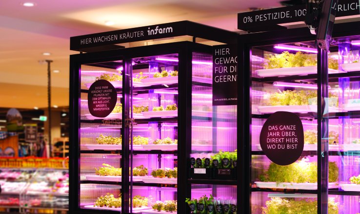 ProduceHabitat's tweet photo. Via @TechCrunch: @balderton Capital leads $25M Series A in #urbanfarming platform @INFARMBerlin 💰

🌿 https://t.co/C7f3Y6iLor 🔎 #verticalfarming 🇩🇪 https://t.co/wZCraTqGHg