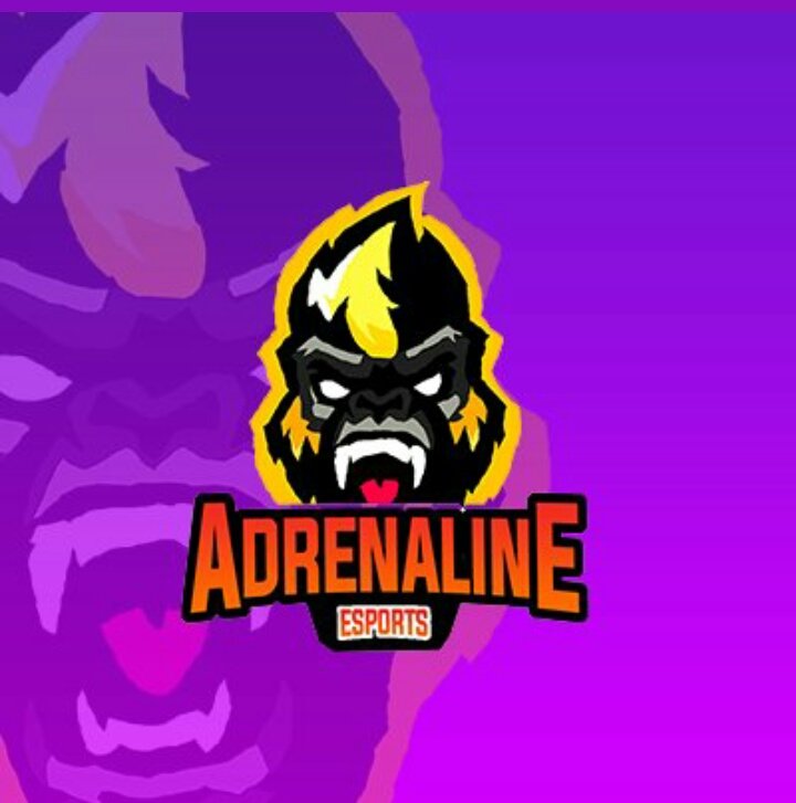 Raze Leagues tweet media