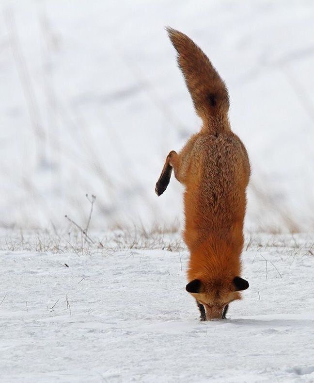 Psychology Facts (@adcbft) on Twitter photo 