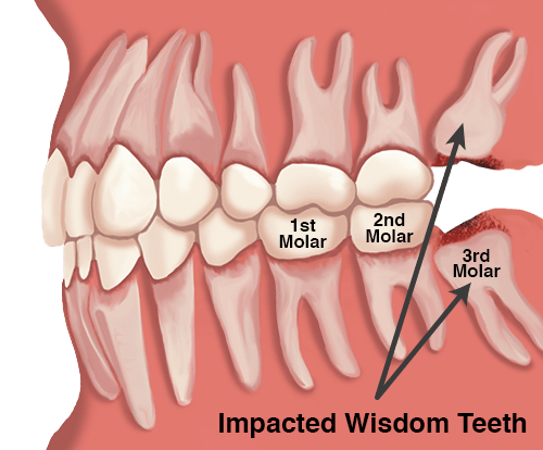 TheDentalFocus tweet picture