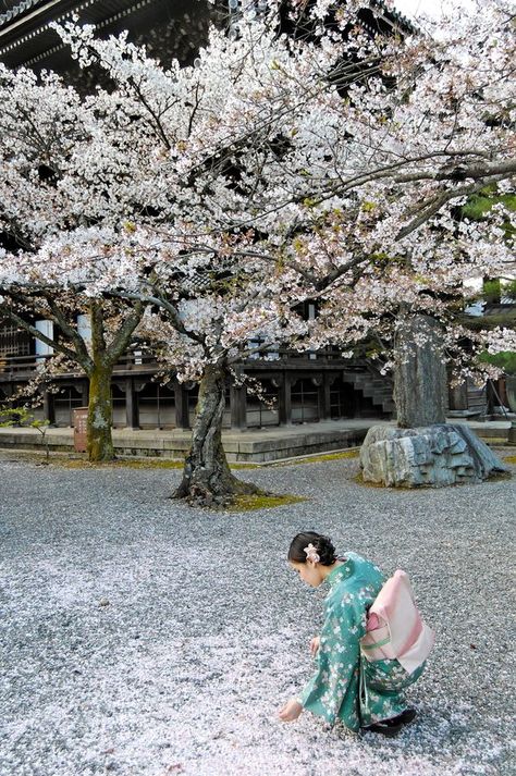 <a href="/48114c6687d84f7/">naser omer</a> <a href="/cathhewat123/">🌺 CATHY 🌺</a> <a href="/taxi_ede/">VIEdeTAXI</a> <a href="/ESTHERBLQU/">ESTHER</a> <a href="/CoquetteEric/">NINIE-du HAINAUT (Nicole)</a> <a href="/ladevita12/">Anna Gaudreault</a> <a href="/Rimiquen_DSM/">Rimiquen</a> <a href="/nataliepastor7/">🦋💗 Nᥲtᥲᥣιᥱ 💗🦋</a> <a href="/micheleblond1/">michele blondin</a> <a href="/DebbieZimmer54/">Debbie</a> <a href="/niuracastrillon/">𝙉𝙞𝙪𝙧𝙖 𝘾𝙖𝙨𝙩𝙧𝙞𝙡𝙡𝙤́𝙣 🇧🇷</a> @Elamatusiak3gm3 @JuanaDeArcoFr <a href="/Lorebl034/">Lorebl03</a> @CristinPereyra <a href="/bgvalkyahoocom1/">Bg.valk🌟🌈</a> <a href="/n8trlover/">Jamie 🌳🕊🌿🐝🌻🦋🌸🌾</a> <a href="/EdytaBaracz/">Edyta Baracz🇵🇱</a> <a href="/marizulca/">Marisol ❤</a> <a href="/tere_a77/">♡♡Tere♡♡ 📷</a> <a href="/SuzanneLepage1/">Suzanne Lepage</a> <a href="/elsufuen/">Susana Fuentes</a> @moomoo089 <a href="/PptMary/">Electra ๑✿.๑¯`·❥🚫DM</a> @zouzou_ni <a href="/ViviHua71296541/">Vivi Huang</a> <a href="/TShinkarenko/">Tamara Shinkarenko</a> @cko_mx <a href="/MatyldaStein/">M.</a> <a href="/starseed009/">Star Seed</a> <a href="/53a93042ef05452/">nathalie cardonlover</a> <a href="/mariaevaMerta/">mEV🌹🇨🇦♥️@meevamem @mariaevaMerta</a> <a href="/EstelagomezG/">EstelaGomez Eva Gomez</a> <a href="/estrogenplus/">Breast Cancer Sucks</a> <a href="/Sylpete/">💗Sylpete 🌹</a> @malbapalo <a href="/MistressTepco/">꧁スカーレット緋色꧂🦩</a> <a href="/ingmali_g/">Ingrid Gordziel</a> <a href="/ersu1880/">gönül akyar</a> <a href="/Glahin93035669/">Gül Şahin</a> @TammyDSanford3 <a href="/TAMMYYO86840808/">TAMMY YOUNG</a> @Tams_Cookie_Lee <a href="/EliLeonarda/">👄☀ Ệŀïẓäńġệŀä 🌷🌿</a> <a href="/EliArtFashion/">Eli Marques 💖 ⛤ ✿●‿●✿ 🌸🌸</a> <a href="/qy5sjQcvK0jK10v/">در الصفا</a> @soso__313 <a href="/SoyMimi9/">Soy Mimi</a> <a href="/FlowergirlPaula/">⚘🌺sweet pea..🌷▪︎🩷*~💕⚘🌸🌷☆⚘○🩷~♡☆⚘🌷▪︎🦋🌸•°~*</a> <a href="/FloverRed/">Flover</a> 🎉🎉🏮🎉🎉🎉🎉🎉🎉🎉🎉