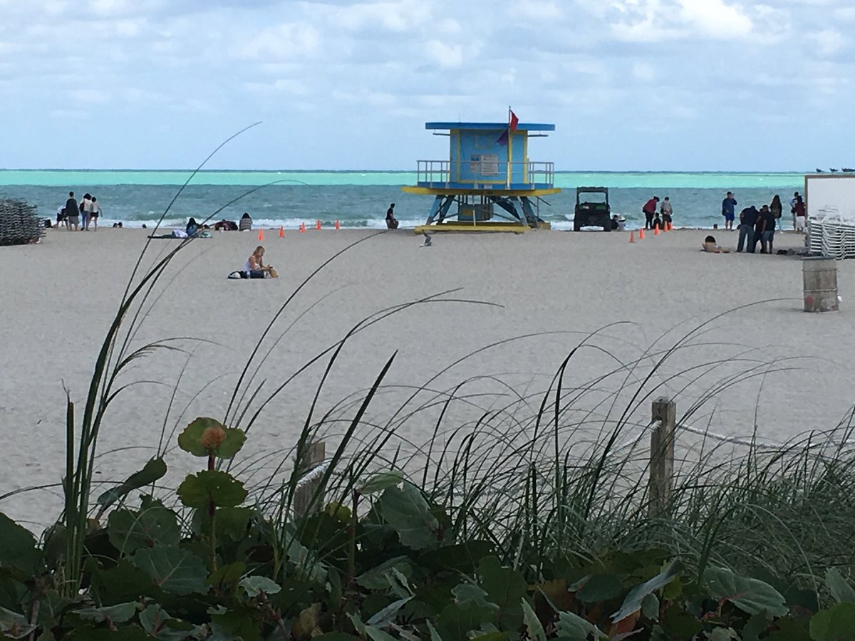 AnneDegnan's tweet photo. @FlyFrontier from Trenton to Miami, MIA mover to the 150 bus to 9th Street, two blocks from our @Airbnb. Beach,restaurants and bars (bring ear plugs if you want to go to bed early) and miles of beachfront paths to beautiful South Pointe Park #walkable #walkabletravels https://t.co/1n6ls77jXX