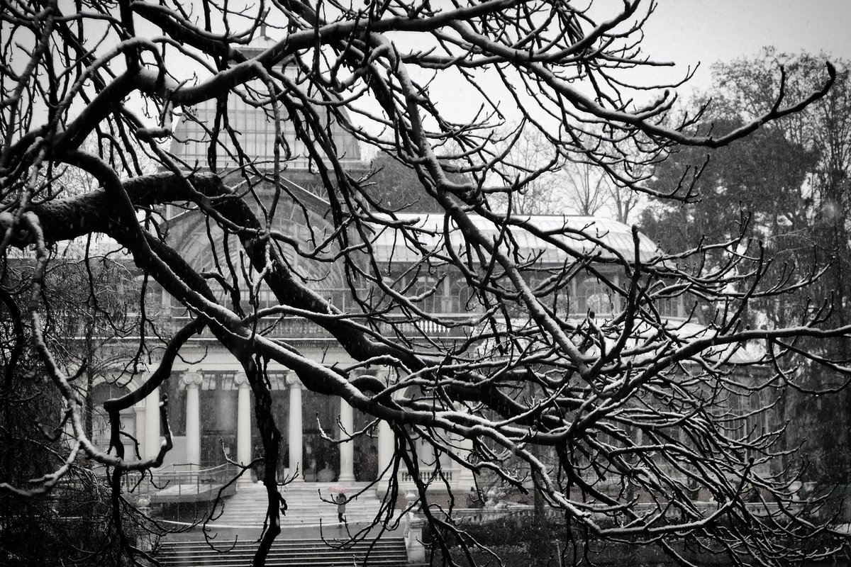 jaimefrancesp's tweet photo. @tiempobrasero El retiro vestido de invierno hoy https://t.co/96tX6E04H9
