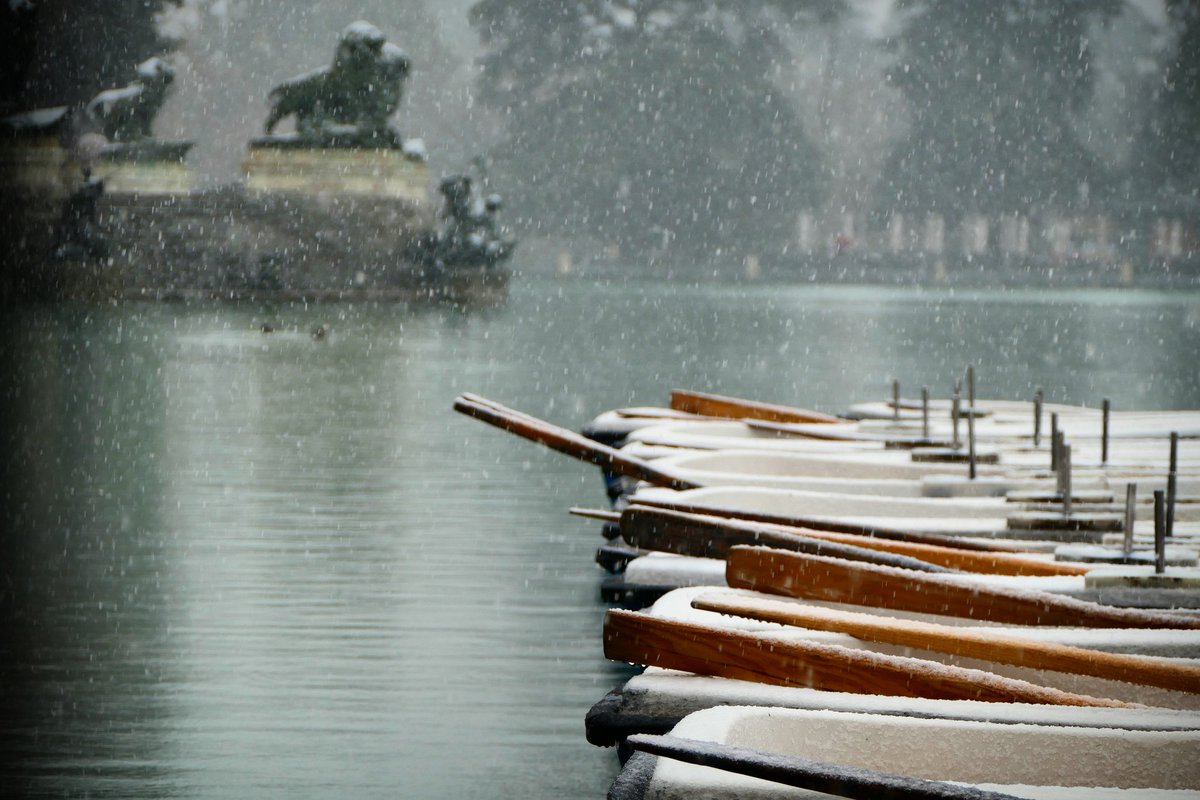 jaimefrancesp's tweet photo. @tiempobrasero El retiro vestido de invierno hoy https://t.co/96tX6E04H9