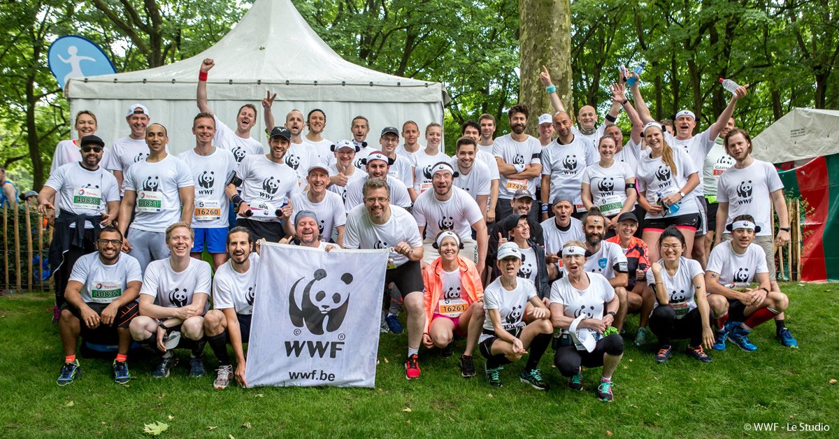 WWF_Belgie's tweet photo. Doe op zondag 27 mei mee en loop de 20 km door Brussel met WWF en voeg een milieudimensie toe aan jouw sportuitdaging! https://t.co/ARUCwA0A30 #MoveForNature #TeamPanda @20kmbru https://t.co/jIkc7HRqiy