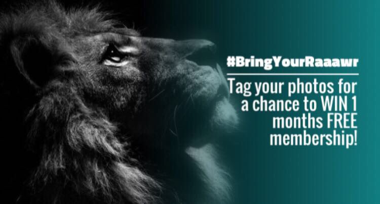 PureGym_BHILL's tweet photo. #MotivationMonday is here once again. Simply tag us &amp; use #BringYourRaaawr on your workout selfies this week to be in with a chance to win! #competition #fitness #workout #dudleygyms #brierleyhill #fitfam #stourbridge https://t.co/zA0uLu1dIs