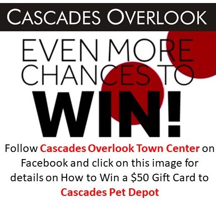 CascadeOverlook's tweet photo. Your chance to WIN a $50 Gift Card to Cascades PET DEPOT located HERE in the @CascadeOverlook Town Center -- Check it out. #PetSupplies #PetHospital #Grooming and more.... #ExperienceCascades @PETDEPOTtweets #FebruaryContest https://t.co/a48CCm9pB0