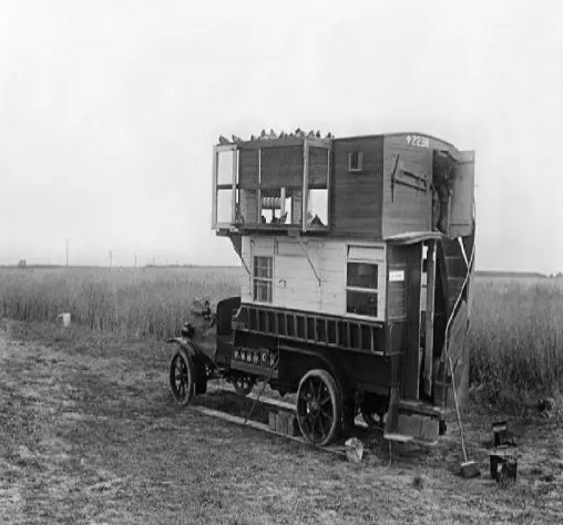 RaptorAlliance's tweet photo. Did you know that in #1915, during
#WorldWarOne, many #London buses were transformed
into mobile #pigeon lofts to be used on the #Western
frontline.
https://t.co/6i3TEXw8Rw
sent-to-war-1-8942638 https://t.co/b3xGkkYXWK