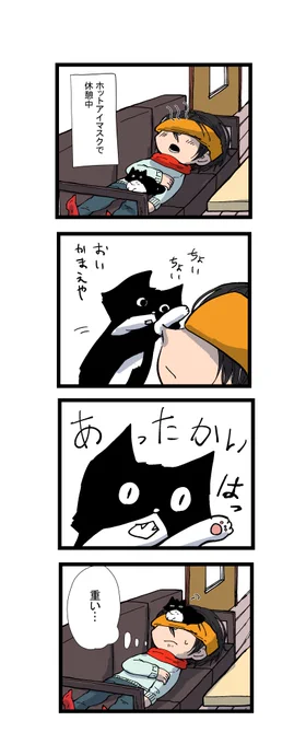 ホットアイマスクがあったかいと気づいた猫の行動 